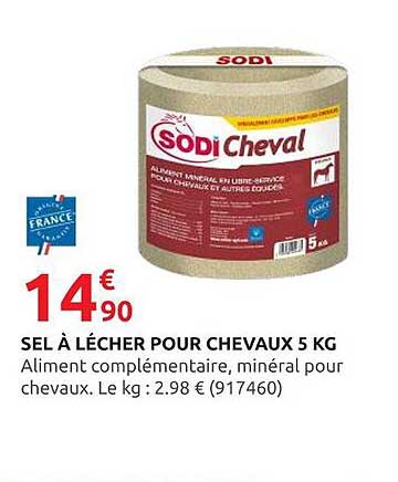 SEL À LÉCHER POUR CHEVAUX 5 KG