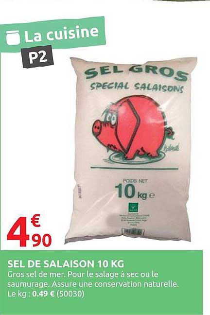 SEL DE SALAISONS 10 KG