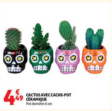 CACTUS AVEC CACHE-POT CÉRAMIQUE