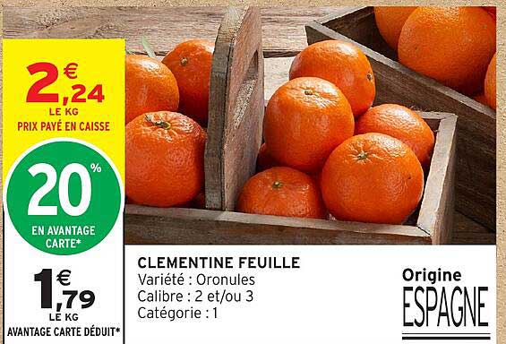 CLEMENTINE FEUILLE