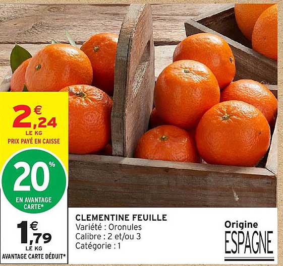 CLEMENTINE FEUILLE