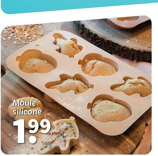 Moule silicone