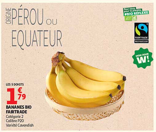 ORIGINE PÉROU ou ÉQUATEUR