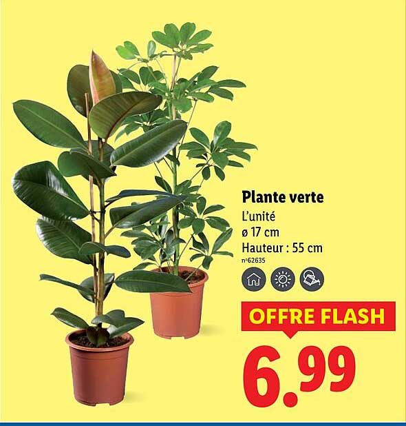 Sitemapcdatahttpscookniqoocomlidl Plante Vertenull