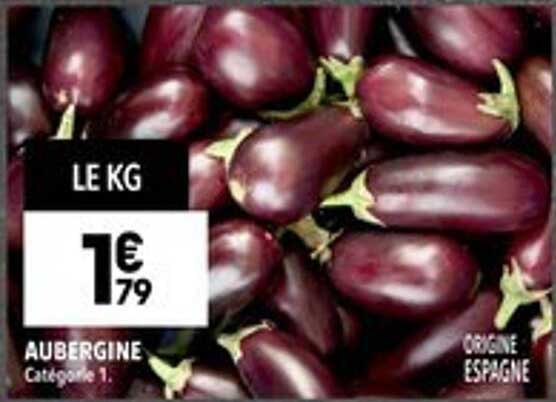 AUBERGINE