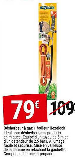 Désherbeur à gaz 1 brûleur Hozelock