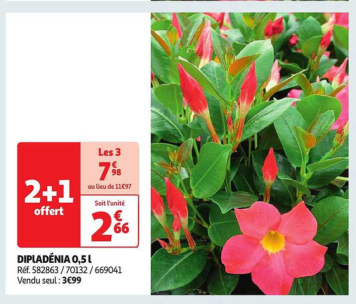 DIPLADÉNIA 0,5 L