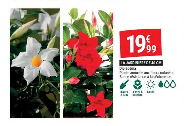LA JARDINIÈRE DE 40 CM