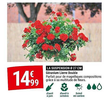 LA SUSPENSION Ø 27 CM