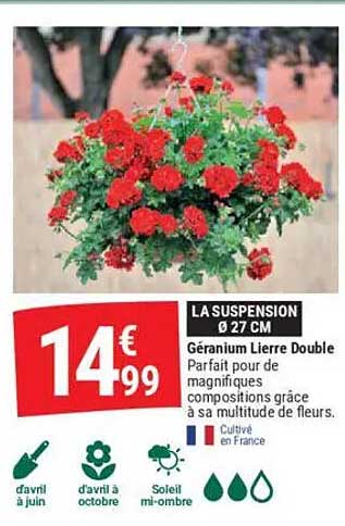 LA SUSPENSION Ø 27 CM