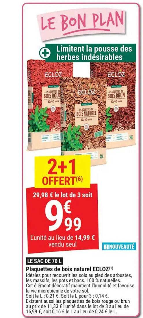 LE BON PLAN