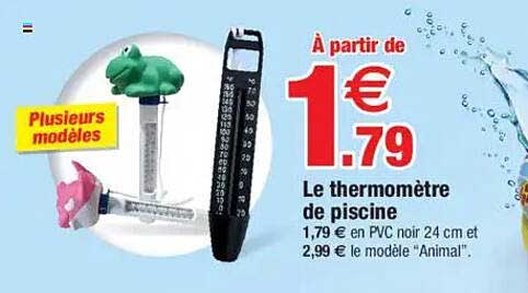 Le thermomètre de piscine