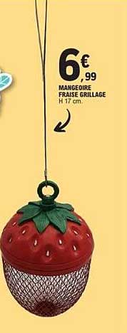 MANGEOIRE FRAISE GRILLAGE