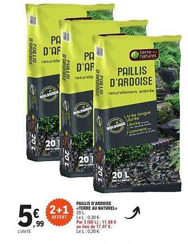 PAILLY D'ARDOISE « TERRE AU NATUREL » 20 L