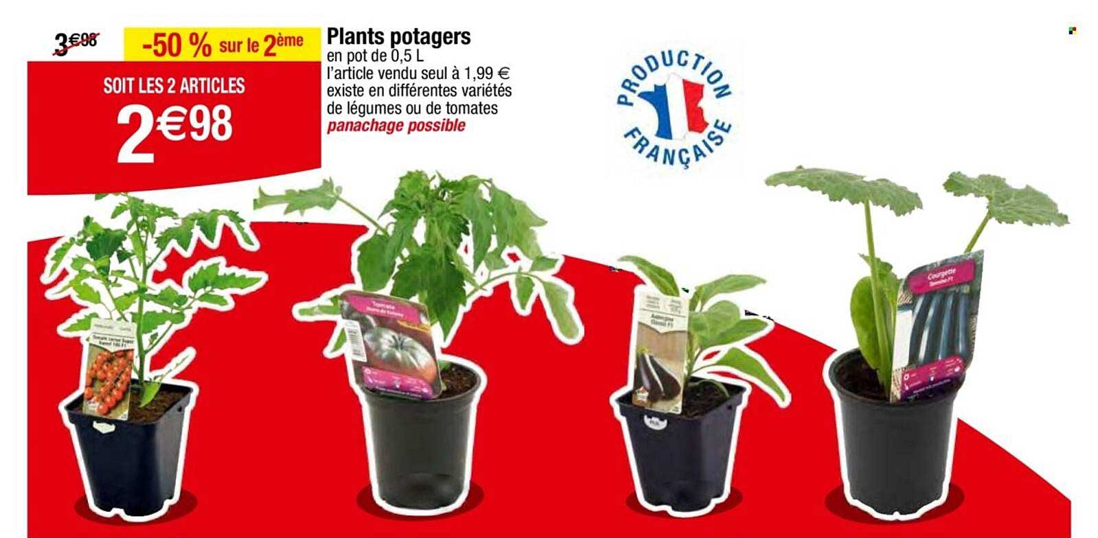 Plants potagers