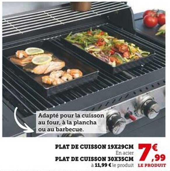 Plat de cuisson 19x29cm
