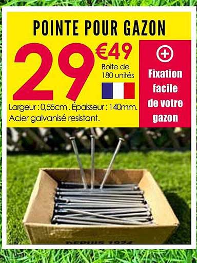 POINTE POUR GAZON