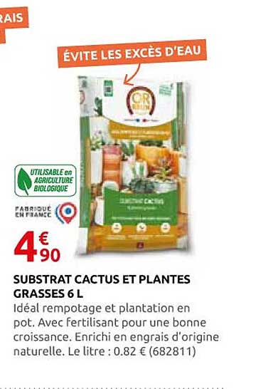 SUBSTRAT CACTUS ET PLANTES GRASSES 6 L