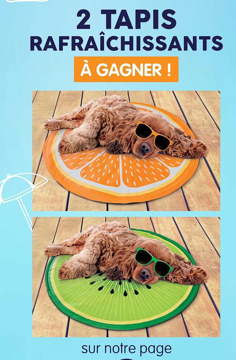 2 TAPIS RAFRÎCHISSANTS À GAGNER !