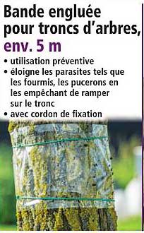 Bande engluée pour troncs d'arbres, env. 5 m