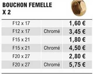 BOUCHON FEMELLE X 2