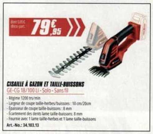 Cisaille à gazon et taille-buissons