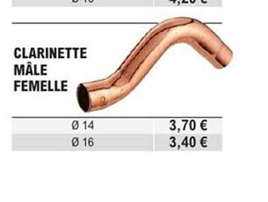 CLARINETTE MÂLE FEMELLE