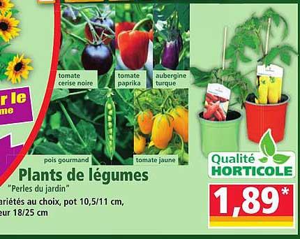 Plants de légumes "Perles du jardin"