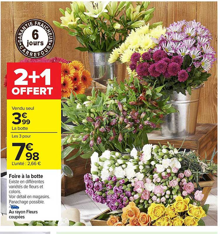 2+1 OFFERT