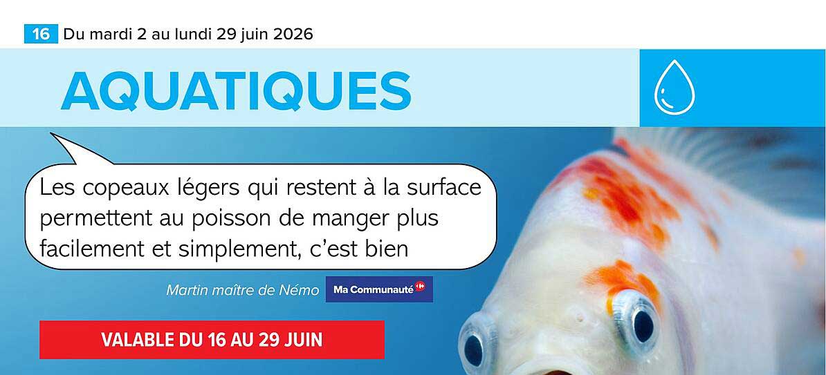 AQUATIQUES