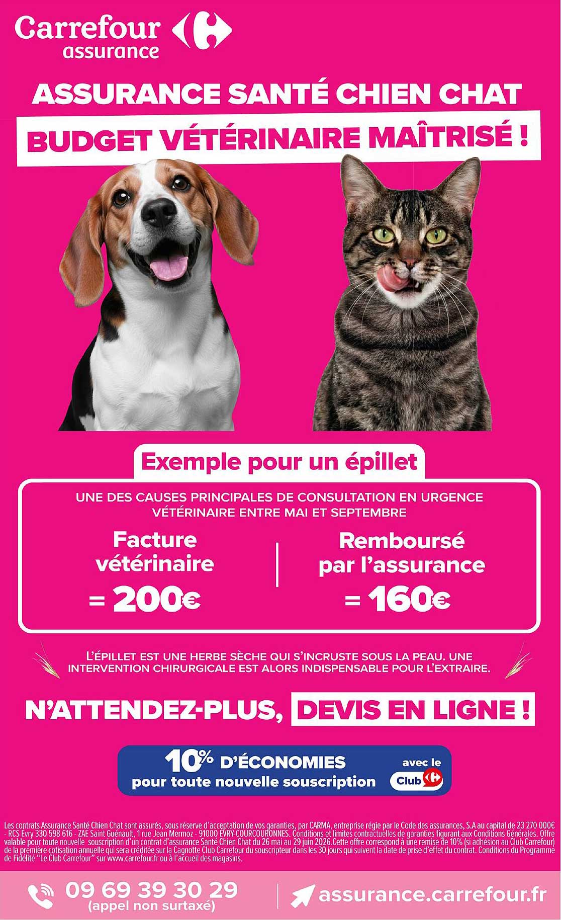 ASSURANCE SANTÉ CHIEN CHAT