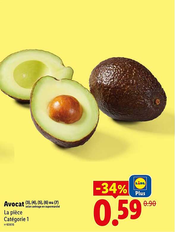 Avocat