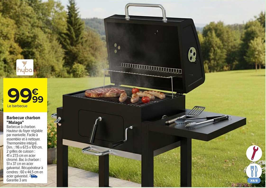 Barbecue charbon "Malaga"