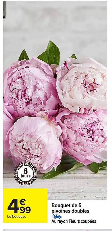 Bouquet de 5 pivoines doubles