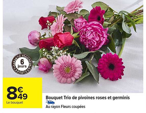 Bouquet Trio de pivoines roses et germinis