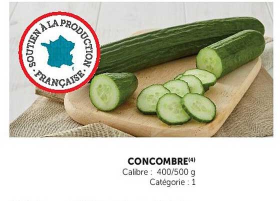 CONCOMBRE