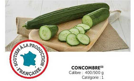 CONCOMBRE(3)