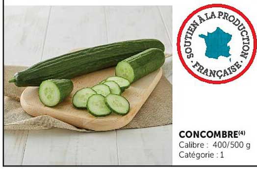 CONCOMBRE(4)