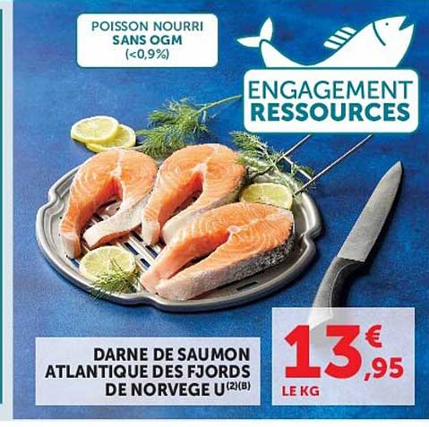 DARNE DE SAUMON ATLANTIQUE DES FJORDS DE NORVEGE U (2)(B)