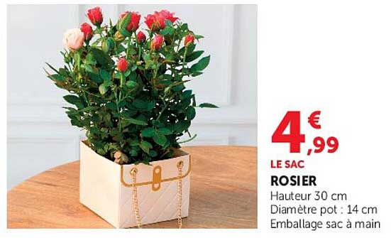 LE SAC ROSIER