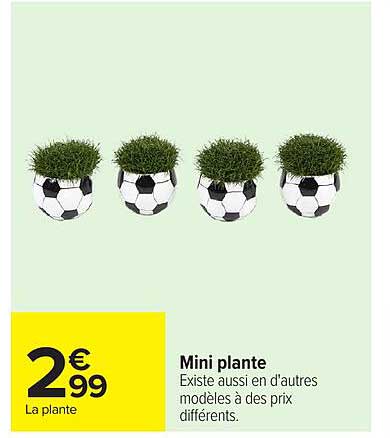 Mini plante