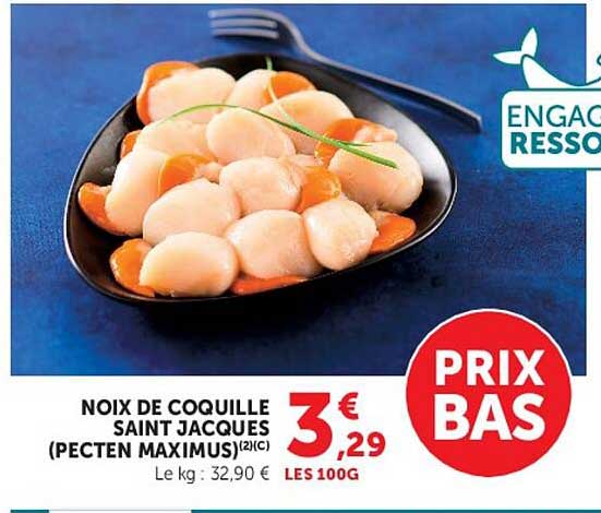 NOIX DE COQUILLE SAINT JACQUES (PECTEN MAXIMUS)