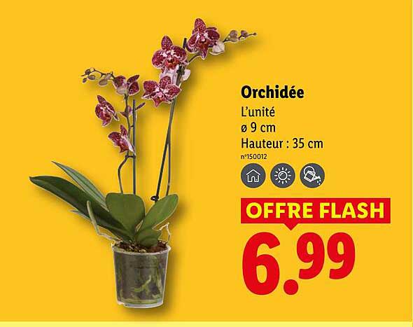 OFFRE FLASH