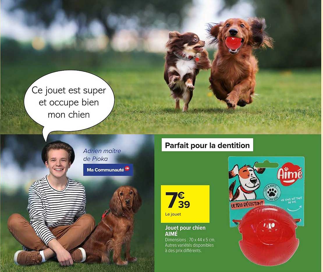 Parfait pour la dentition