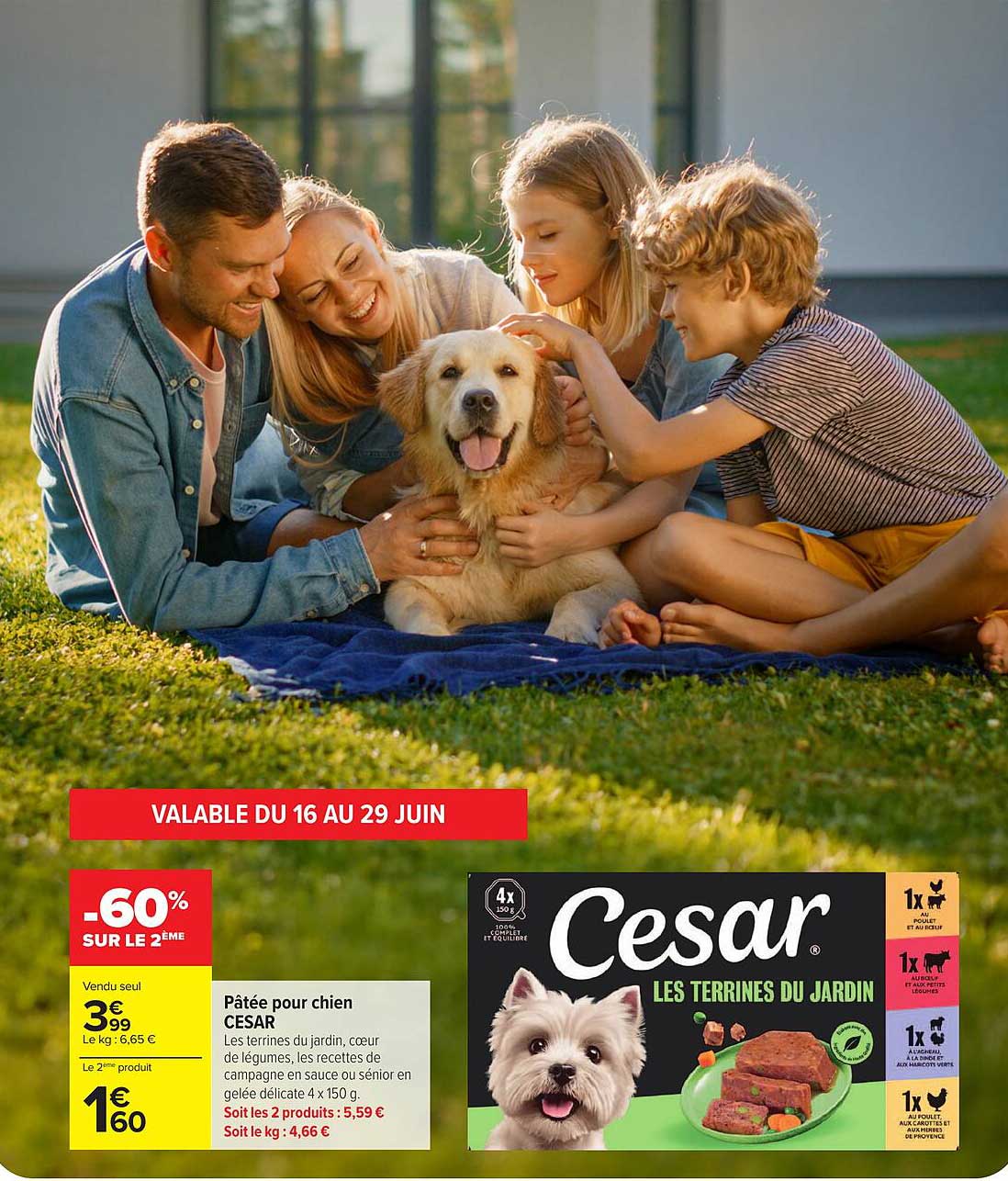 Pâtée pour chien CESAR