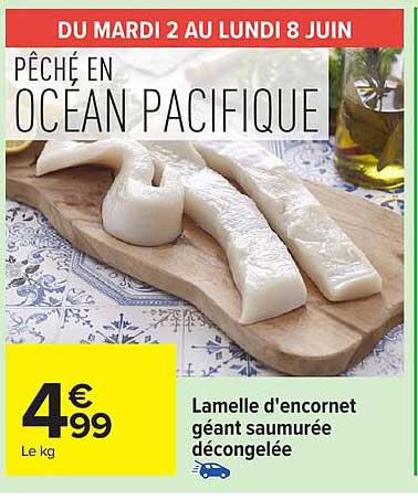 PÊCHÉ EN OCÉAN PACIFIQUE