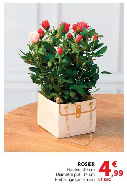 ROSIER
