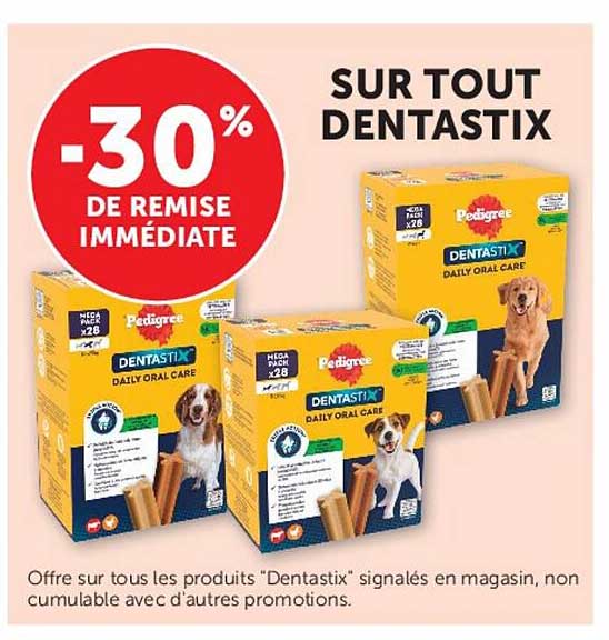 SUR TOUT DENTASTIX