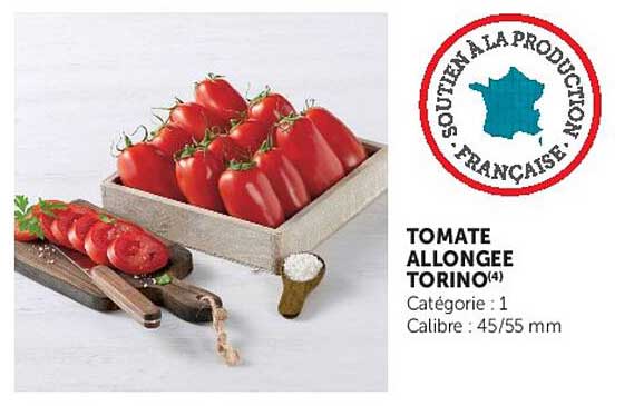 TOMATE ALLONGEE TORINO(4)