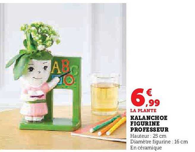KALANCHOE FIGURINE PROFESSEUR